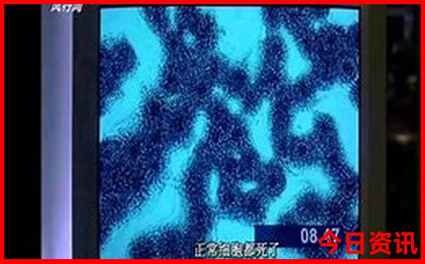 云南八天游最佳路线